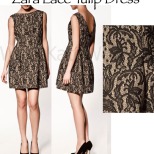 Zara-Lace-Tulip-Dress-
